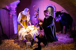 vanaf zondag 11 december - Kerststal Sint-Janskathedraal
