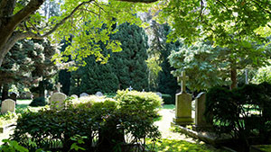 dinsdag 21 april -  Vergroening Begraafplaatsen