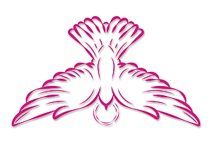 zaterdag 6 juni 2026 - Vormelingendag Aartsbisdom Utrecht